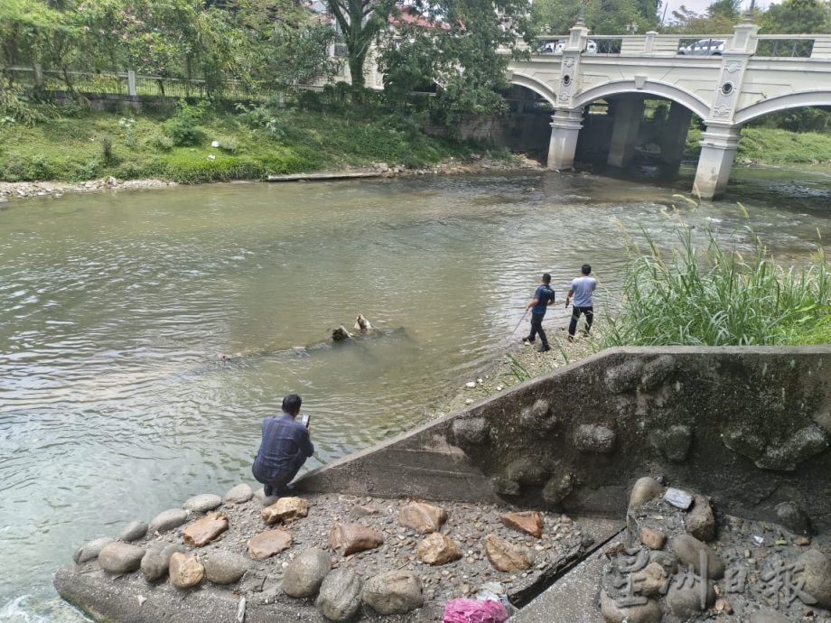 郑国霖:近打河出现集体死鱼 分析河水样本找导因