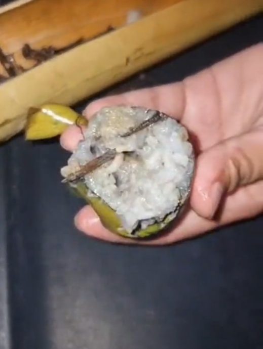 顾客投诉竹筒饭有钉子 小贩认错“应不小心用儿子放钉子的竹子”