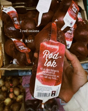 马币贬值在挪威生活物价高 马留学生:一包Maggi面卖7令吉