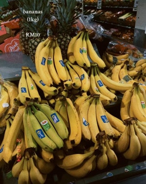 马币贬值在挪威生活物价高 马留学生:一包Maggi面卖7令吉