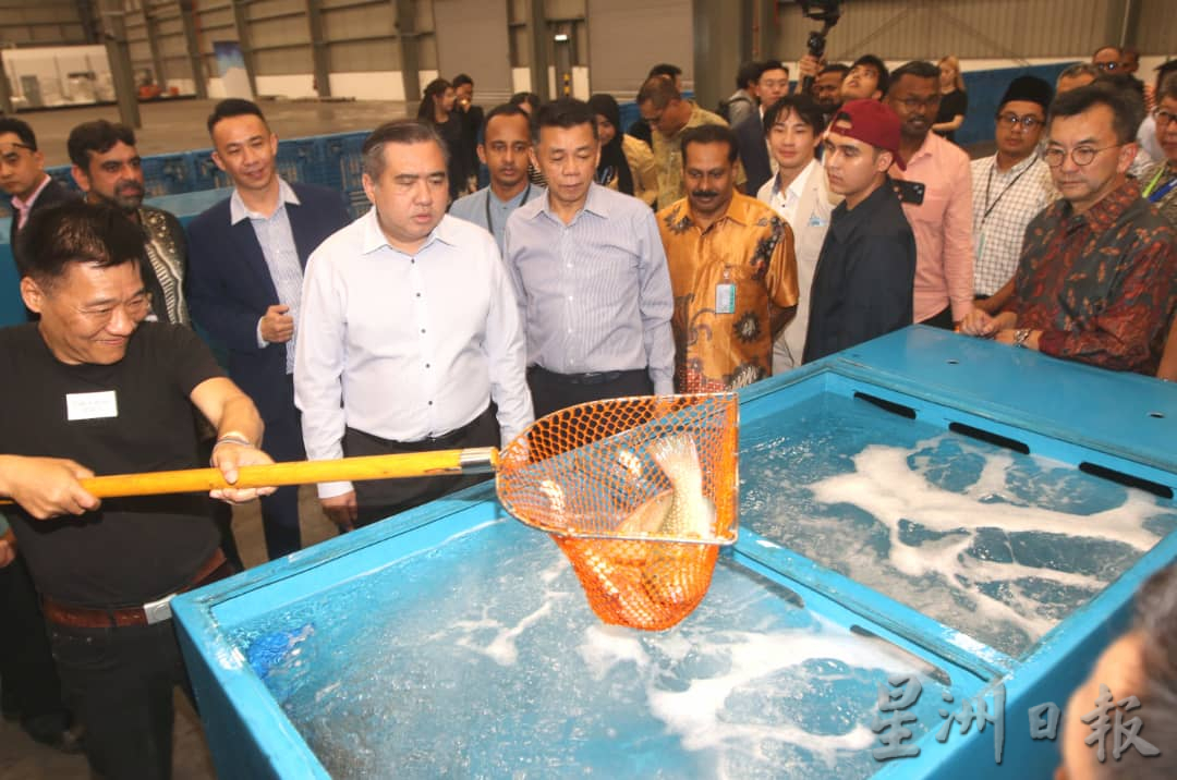 MMAG控股投资超1.5亿令吉,冀推动航空业务下一阶段增长