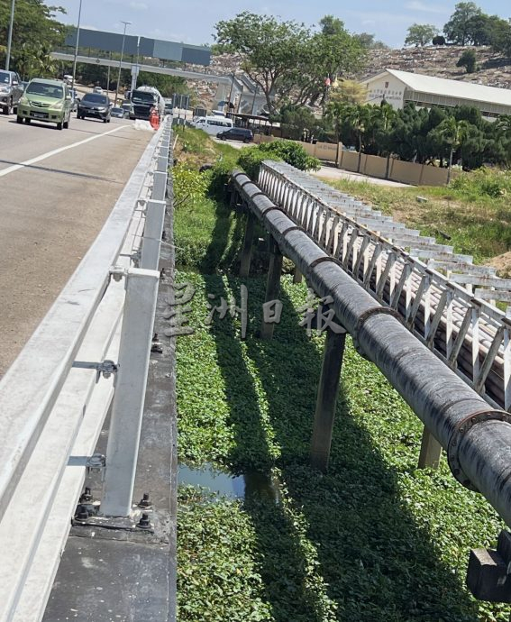 （古城封底主文）水位低植物大量覆盖河面·“绿油油”阻碍排水