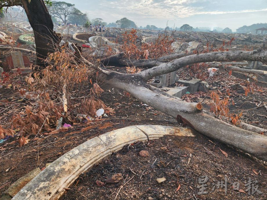 (古城封底主文)清明节扫墓,缅怀祖先也是文化及价值的传承