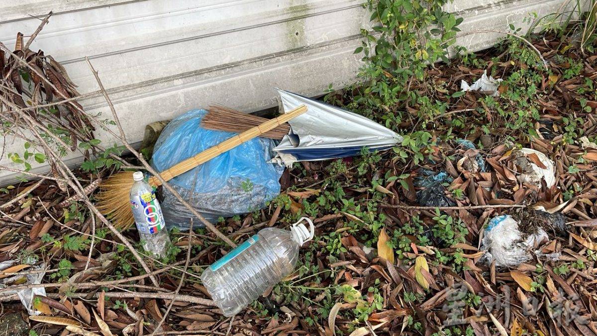 (古城封底主文)清明节扫墓,缅怀祖先也是文化及价值的传承