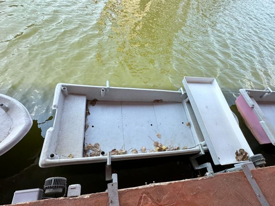 （古城封底主文）甲水上市场延至4月进行 刘志俍促如期进行助吸引游客