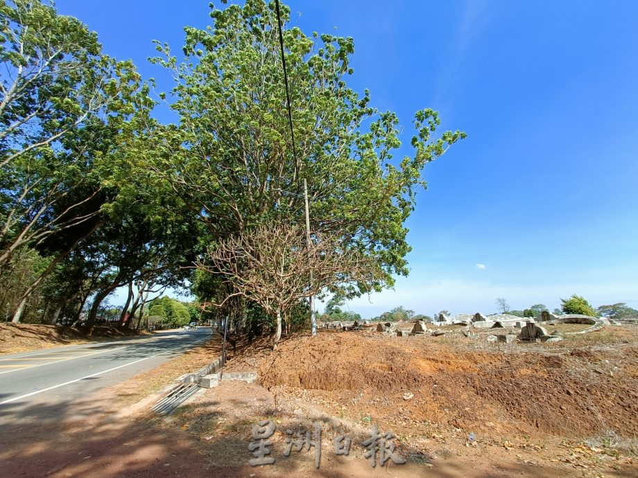 （古城封面主文）甲义山管理整洁有序·子孙配合缴费或乐捐