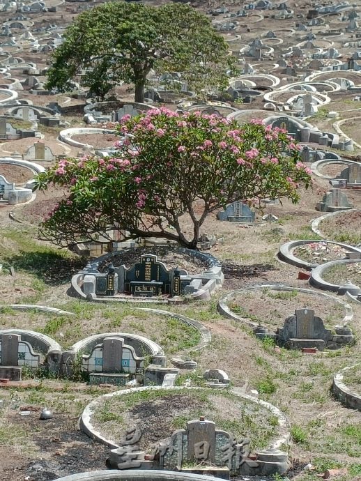 （古城封面主文）甲义山管理整洁有序·子孙配合缴费或乐捐