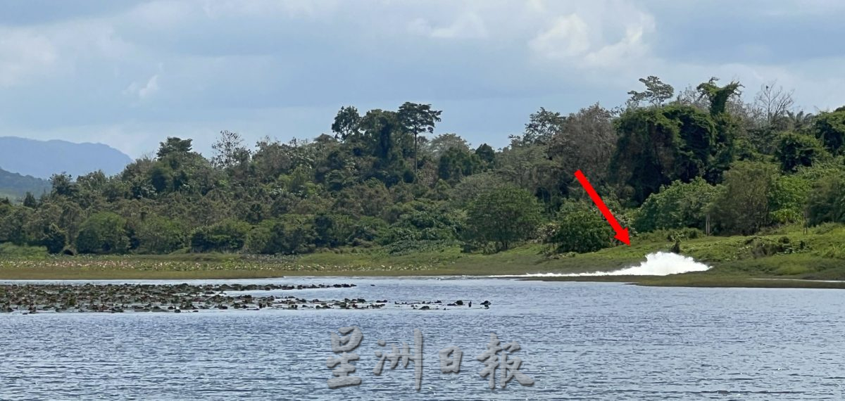 (古城封面主文)酷热无雨 水位退·市民盼当局未雨绸缪