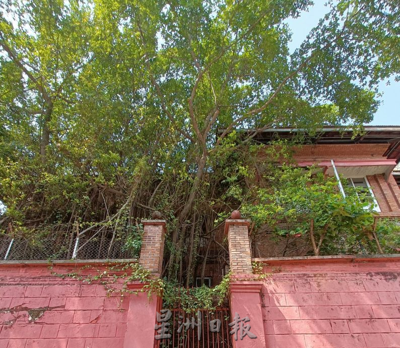 （古城第三版主文）市政厅封锁旧法庭危险区·林朝雁：属联邦土地委员会