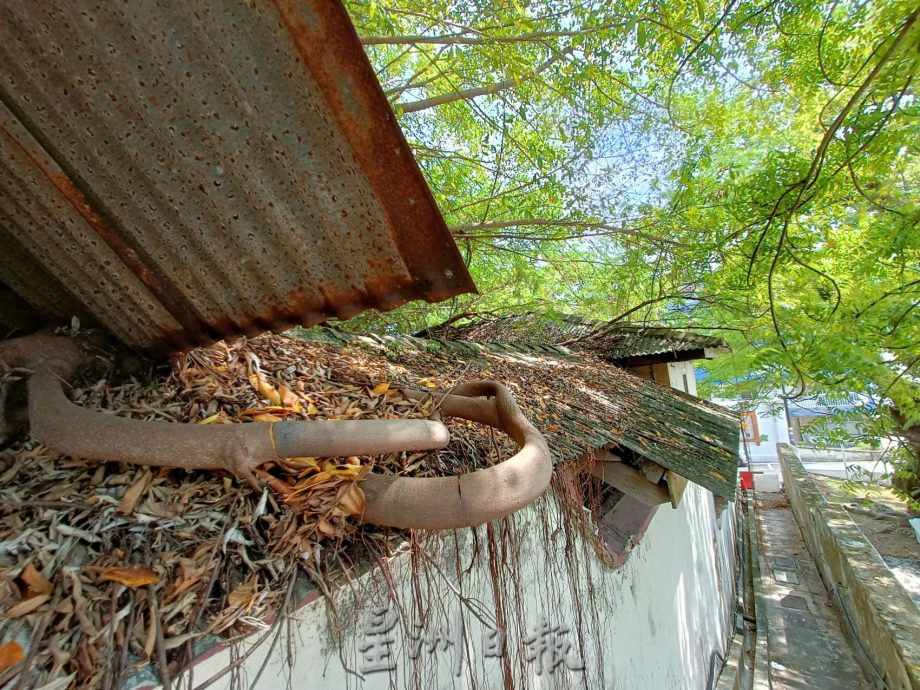 （古城第三版主文）市政厅封锁旧法庭危险区·林朝雁：属联邦土地委员会