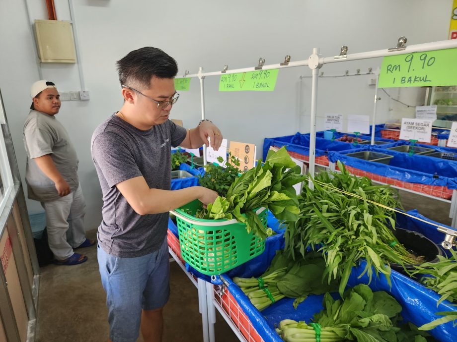 （古城第二版主文）业者受食物银行启发，一整篮蔬菜只要9令吉90仙