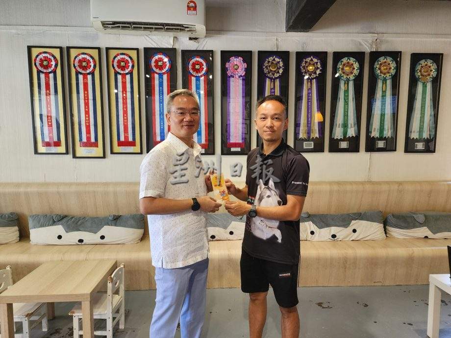 （古城第五版主文）获奖无数的哈士奇RASTI，将于4月参与“2024年克罗地亚世界犬赛”