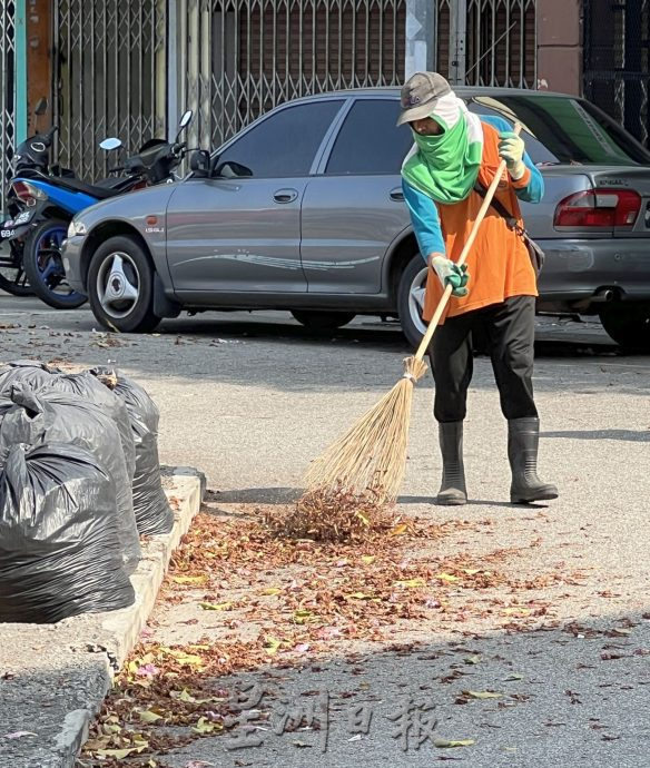 (古城第五版主文)风铃木,来也匆匆去也匆匆!