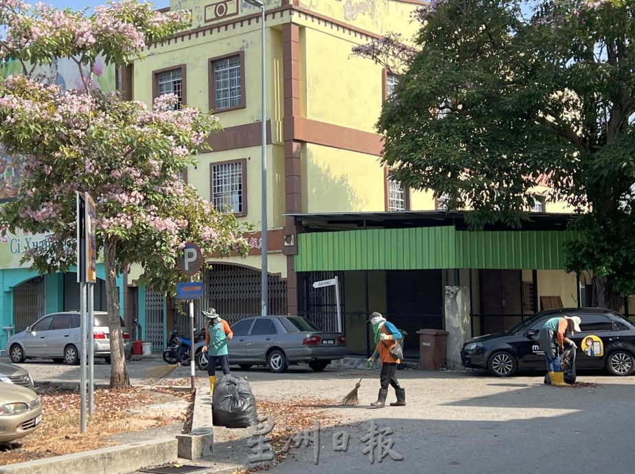 (古城第五版主文)风铃木,来也匆匆去也匆匆!