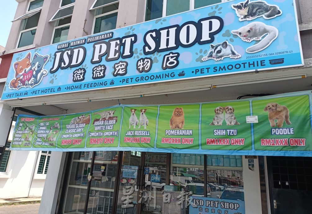 （古城第四版主文）宠物用品价格上涨