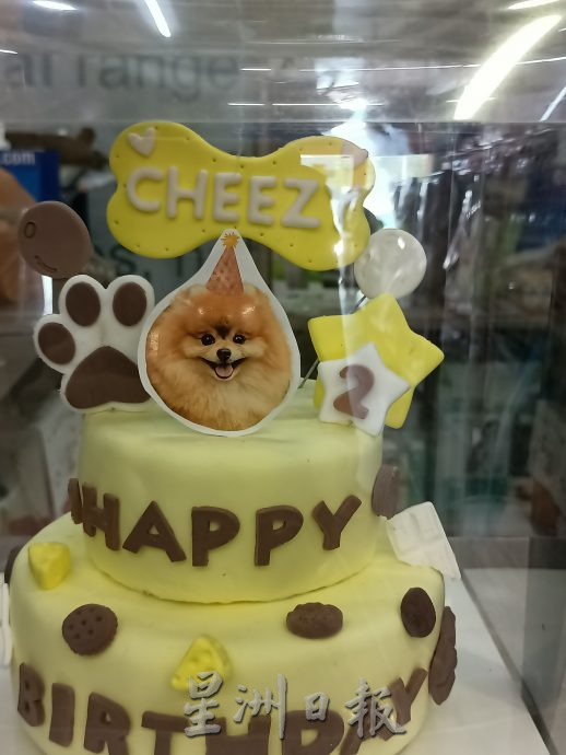 （古城第四版主文）宠物用品价格上涨