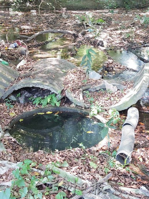 (古城第四版主文)武吉南眉工业区树林处出现小瀑布