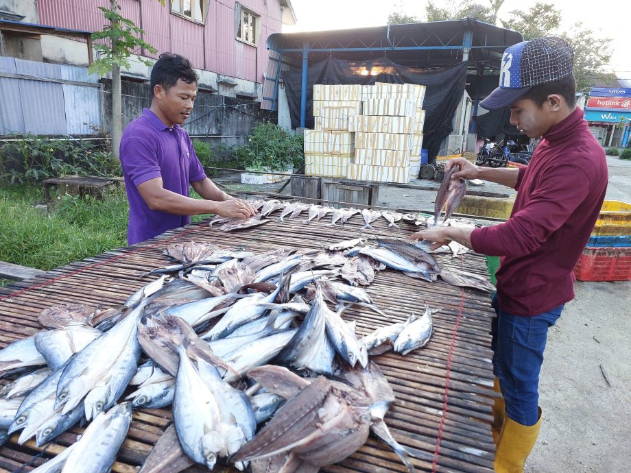(大北馬)傳承者系列 古樓兩興鹹魚商傳三代 人工苦活 看天吃飯