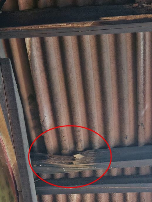 （大北马）吉打港口碧云宫仙法师公古庙遭白蚁侵蚀，导致作为会议室的阁楼严重损坏，急需约30万令吉进行维修。