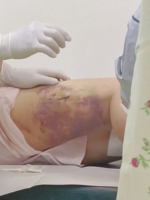 (大北马)掌握养狗知识技巧懂看管 / 狗主态度好 家无恶犬