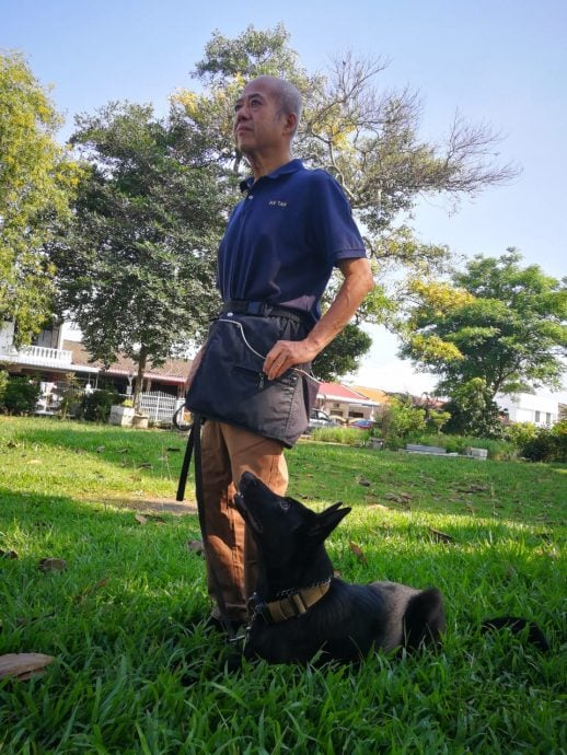 (大北马)掌握养狗知识技巧懂看管 / 狗主态度好 家无恶犬