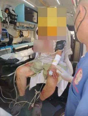 (大北马)掌握养狗知识技巧懂看管 / 狗主态度好 家无恶犬