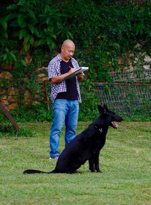 (大北马)掌握养狗知识技巧懂看管 / 狗主态度好 家无恶犬