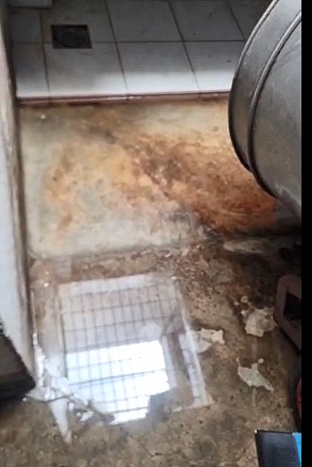 (大北马)粪水倒流再忍一下 王宇航:“英达丽水三周解决”