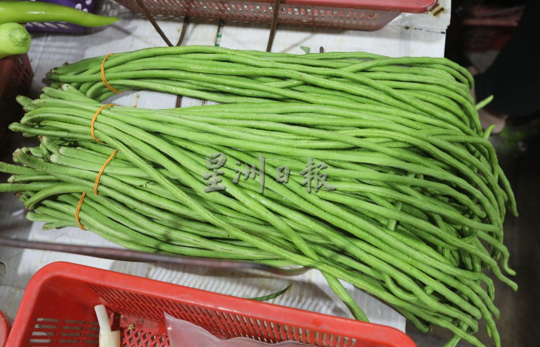 (已签发)柔:【特稿】本地叶类蔬菜大唱丰收菜价跌,消费者吃便宜菜