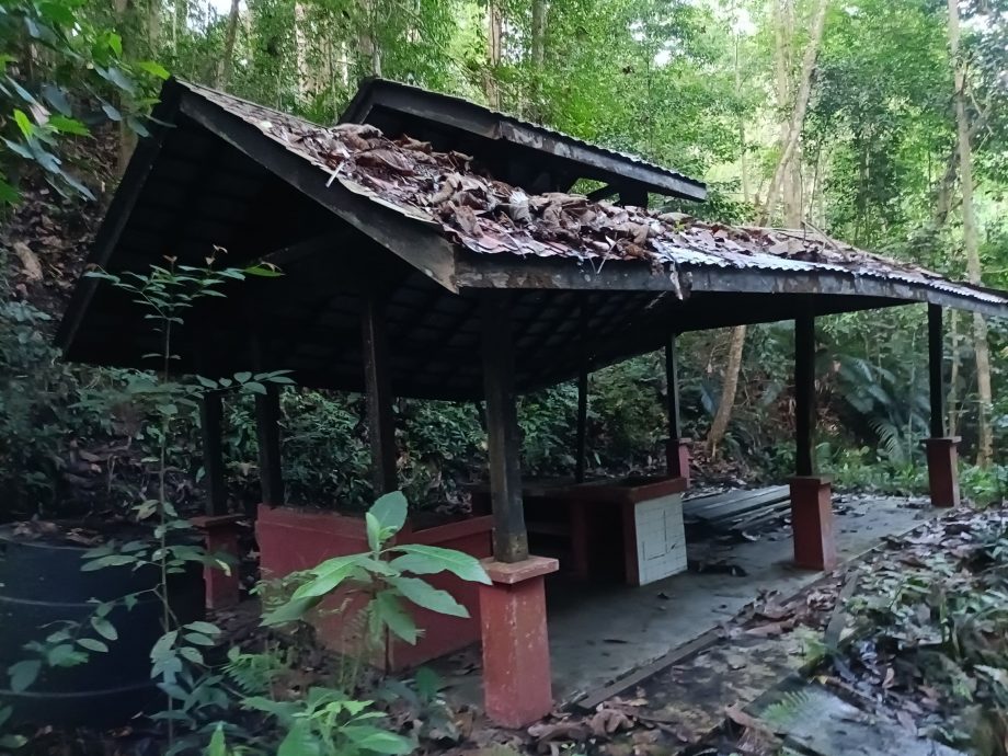 (已签发)柔:周忠信:直接拨款给銮环保登山协会 修补南峇山破损步道