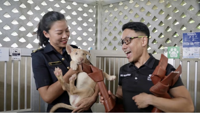 (已签发)柔:狮城二三事:“退役”消防水带 改造成狗狗环保玩具