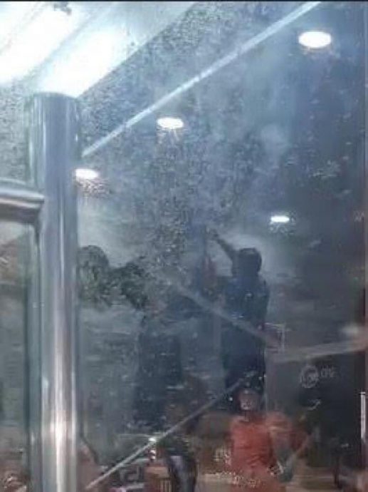 (已签发)柔:狮城二三事:武吉知马路上段 大群飞虫入侵餐馆