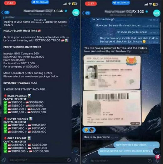 (已签发)柔:狮城二三事:称“投资稳赚20倍”亮身份证查验 骗子诈走护士4.5万