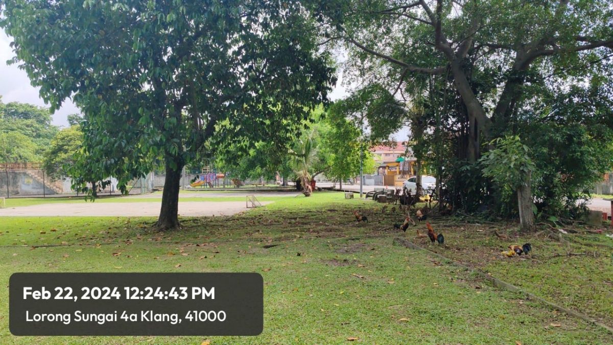 (版2副)大都会/李锡稳:系统化光复公园