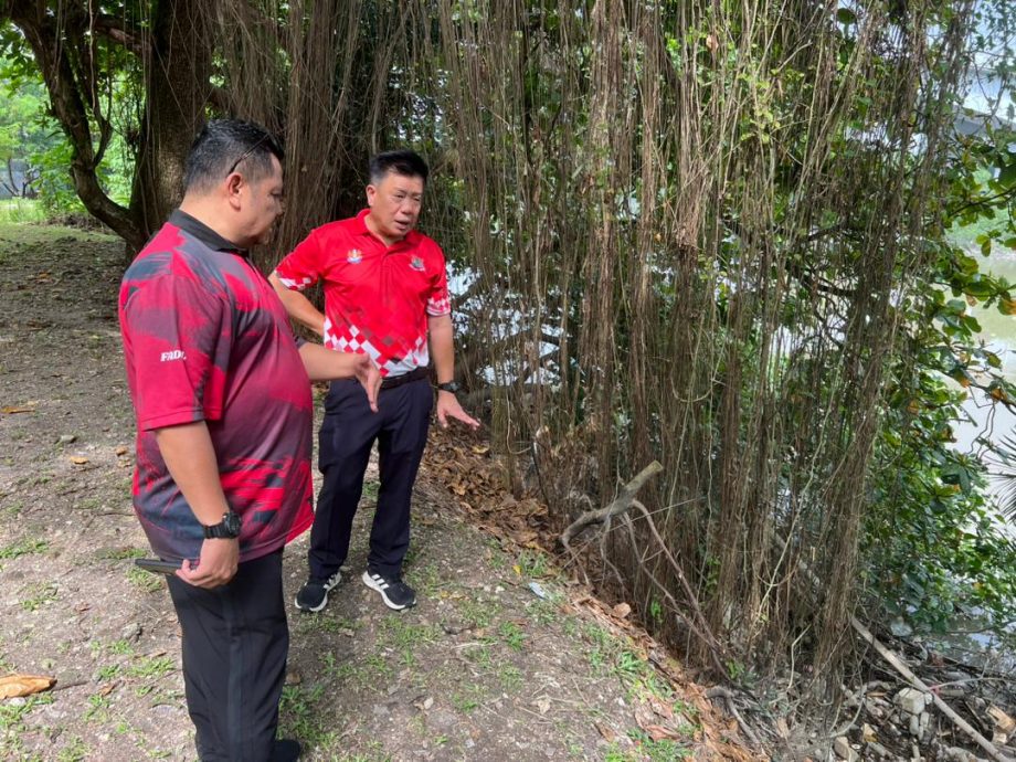 (版2副)大都会/李锡稳:系统化光复公园