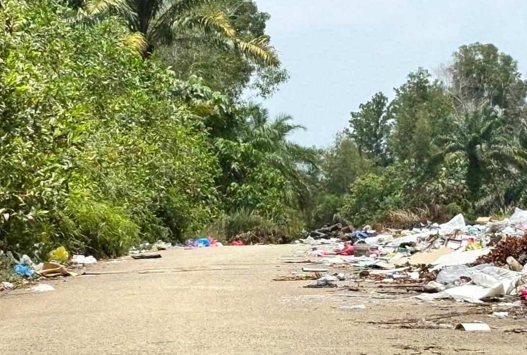 (版2头)大都会:乡区小路被丢成垃圾路/4图