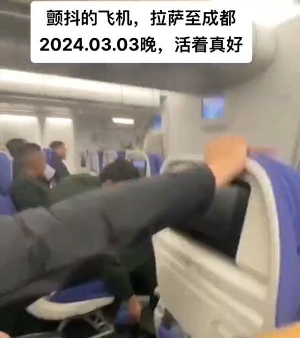 (视频)航班遇气流如坐过山车 乘客尖叫空姐声抖