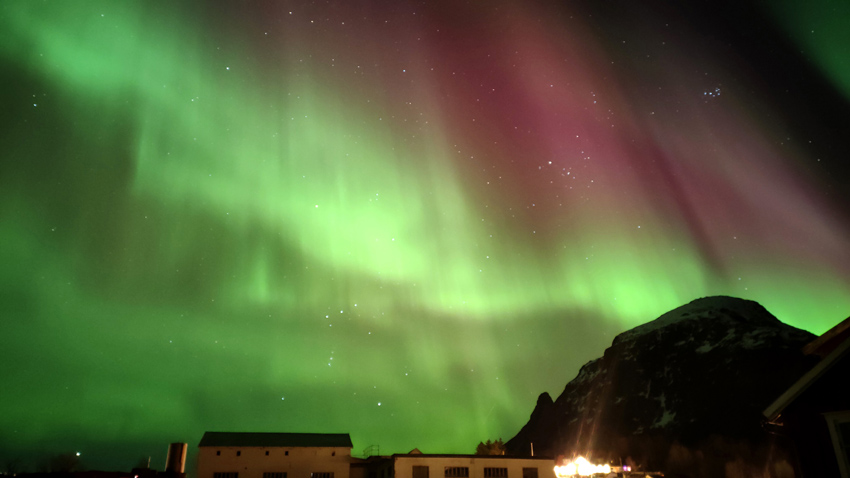 Kim Teoh/手机拍摄极光