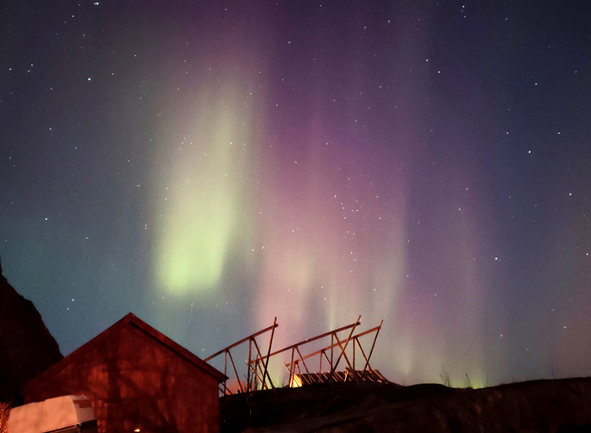 Kim Teoh/手机拍摄极光