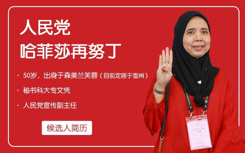哈菲莎再努丁