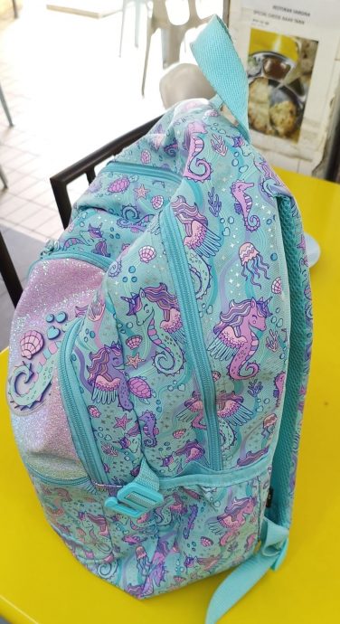 16kg小学生背5kg书包！符芳侨忧影响背脊骨发展