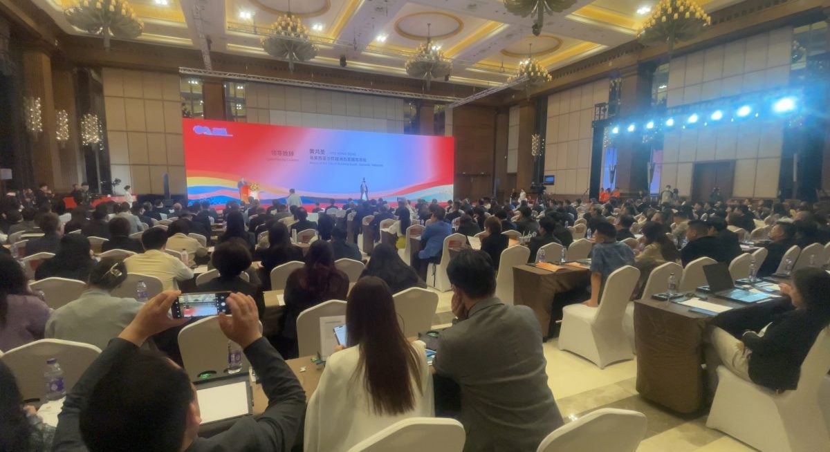 2024中国(河南)—东盟人文交流月/马新美食节