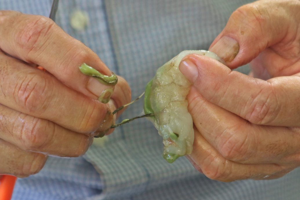 29/4(大北马/私房好菜)六叔骆天明:鸡丝河粉