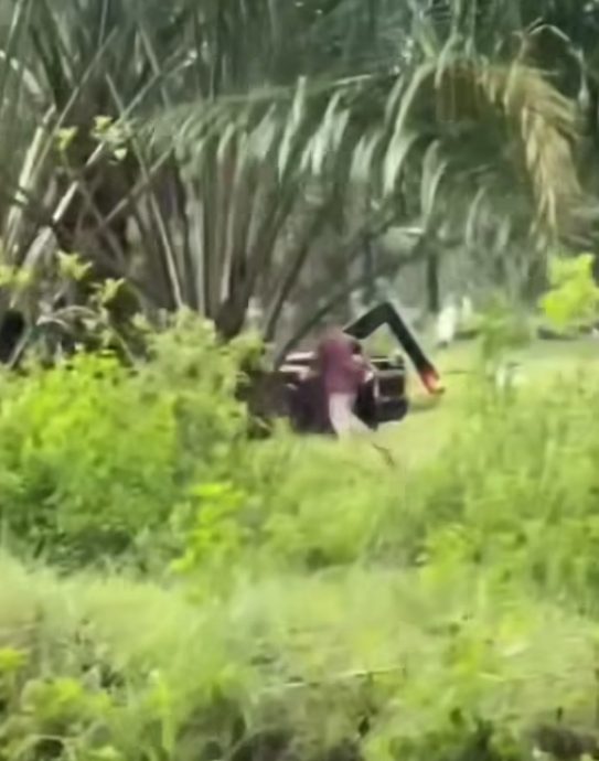 5男闯宰猪场偷铁 场主捉到3人