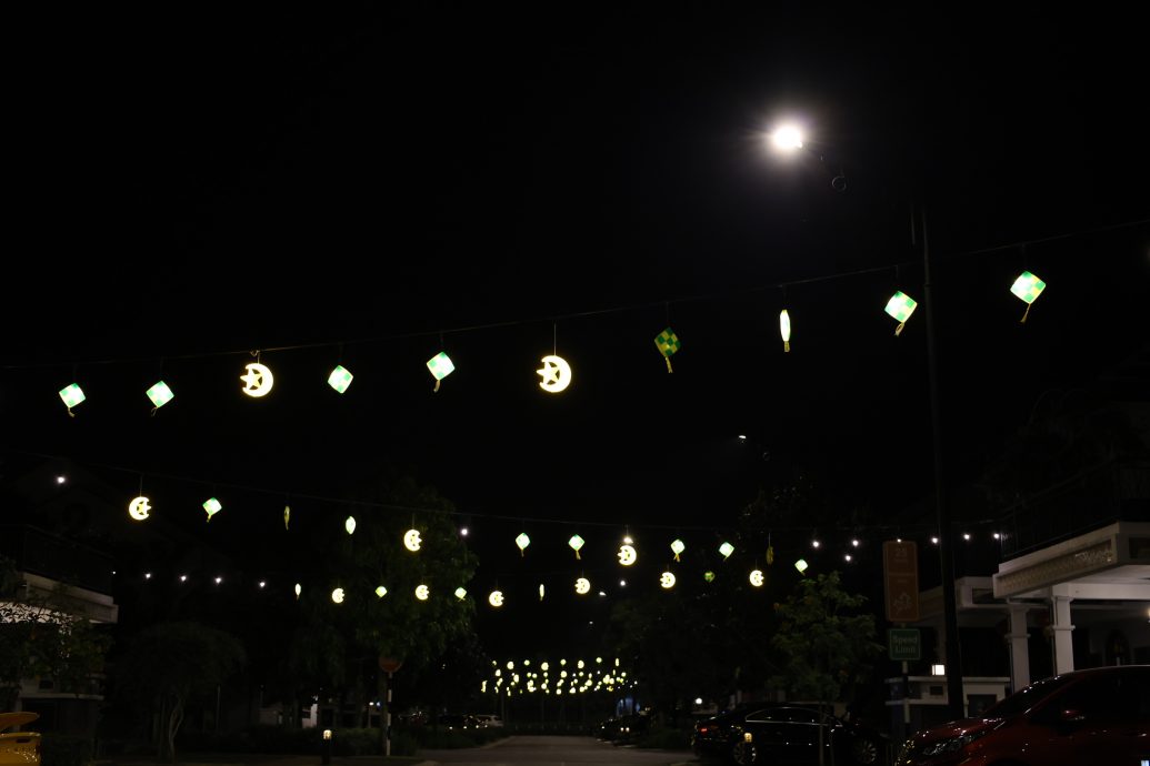 三大种族居民住宅区挂灯饰过佳节