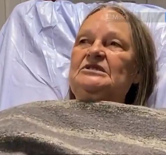 “以为它很友善” 游客遇野熊开车窗拍照 下一秒被咬伤