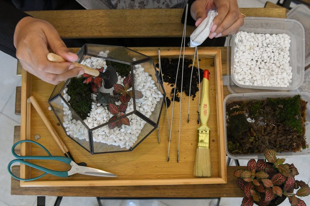 《东游记》苔藓生态瓶,打造迷你玻璃微景观花园。