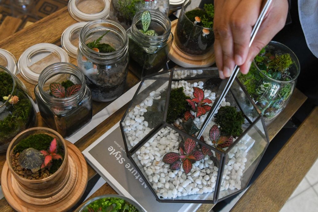 《东游记》苔藓生态瓶,打造迷你玻璃微景观花园。