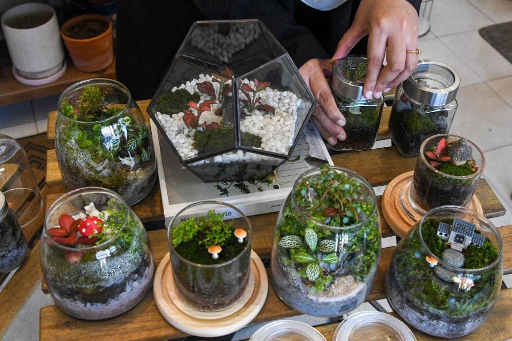 《东游记》苔藓生态瓶,打造迷你玻璃微景观花园。