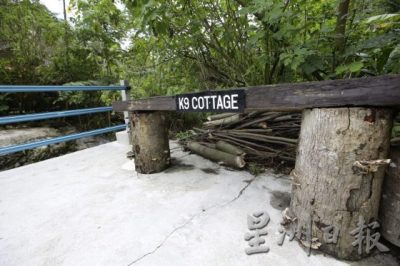 【人与动物的陪伴关系／01】带著爱与关怀出发，重建狗医生团队疗愈人心